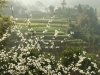 chine-033