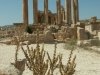 jordanie-093