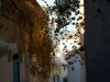 maroc-070