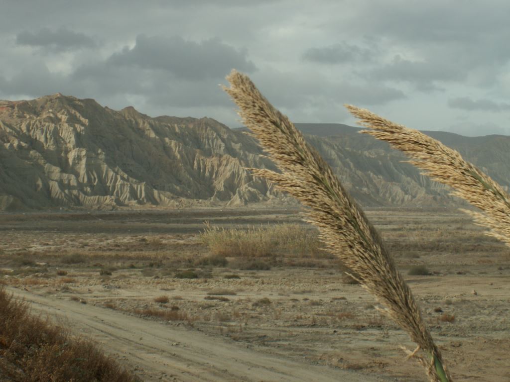 maroc-011