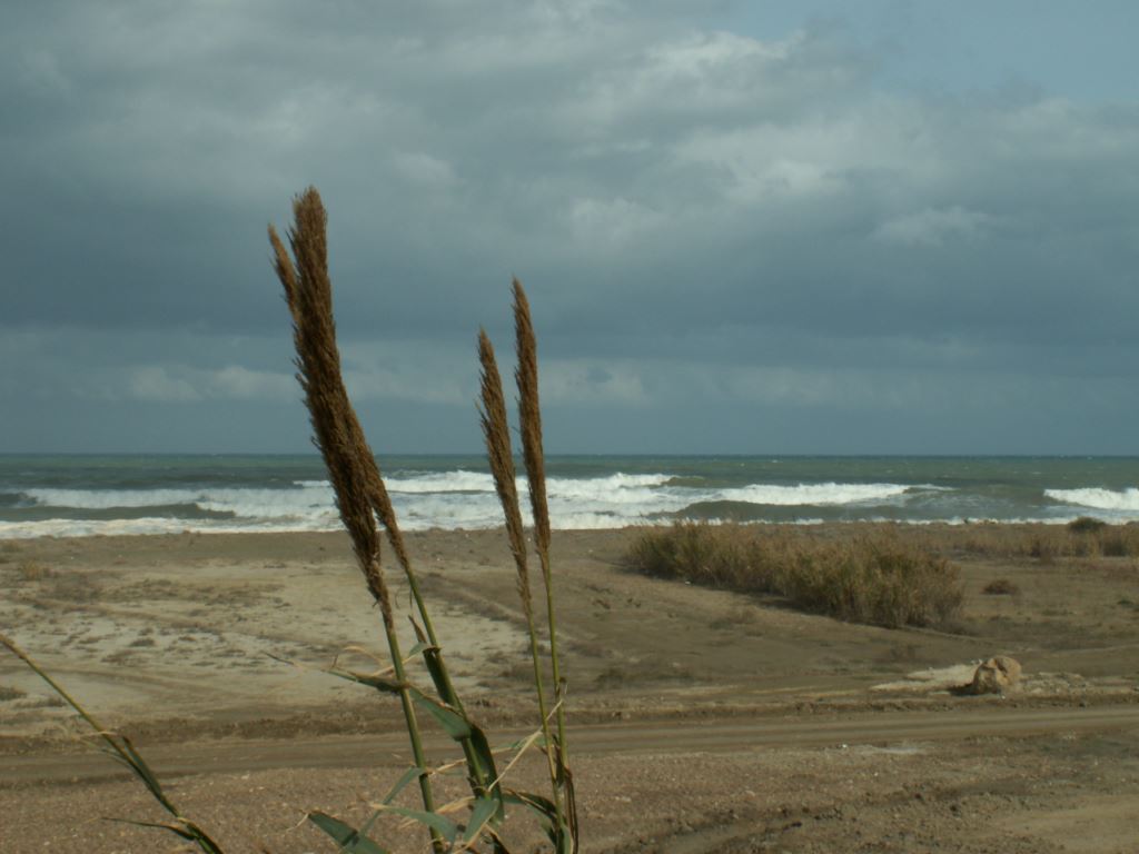 maroc-014