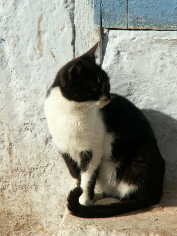 maroc-042