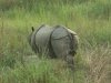 nepal-143