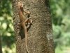nepal-154