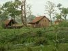 nepal-157