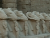 egypte-169