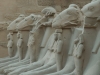 egypte-170