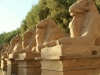 egypte-172