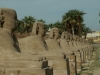 egypte-198