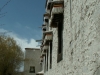 tibet-203